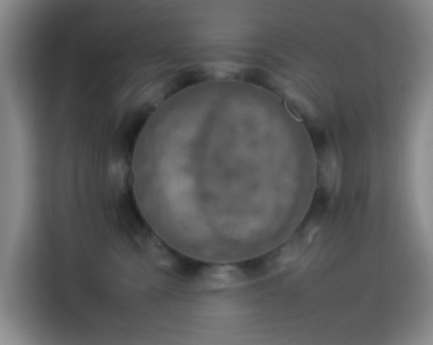 X0000113750427200909301035