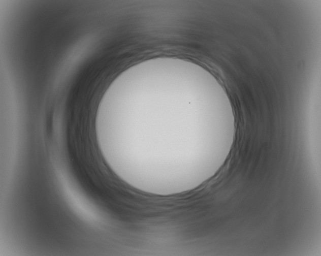 X0000113750429200909301035