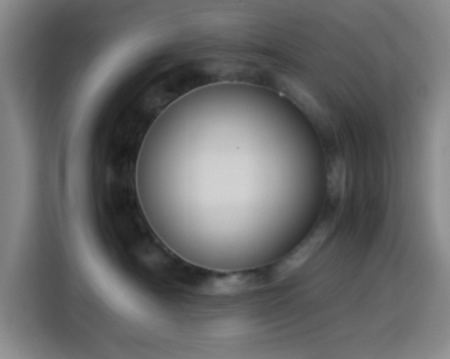 X0000113750430200909301035