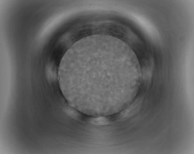 X0000113750431200909301035