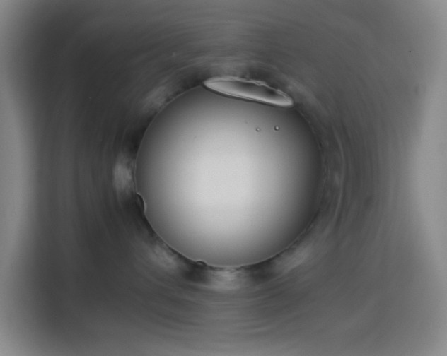 X0000113750432200909301035