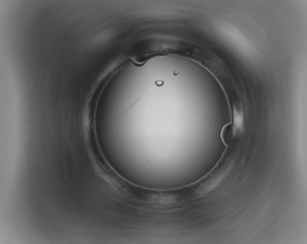 X0000113750435200909301035