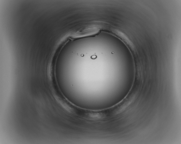 X0000113750439200909301035