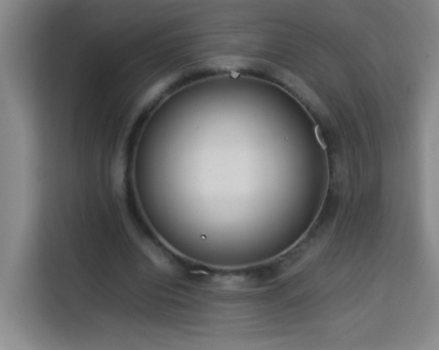 X0000113750440200909301035