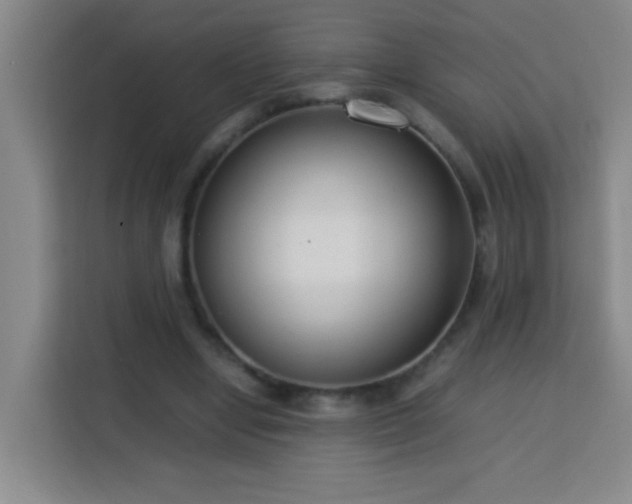 X0000113750442200909301035