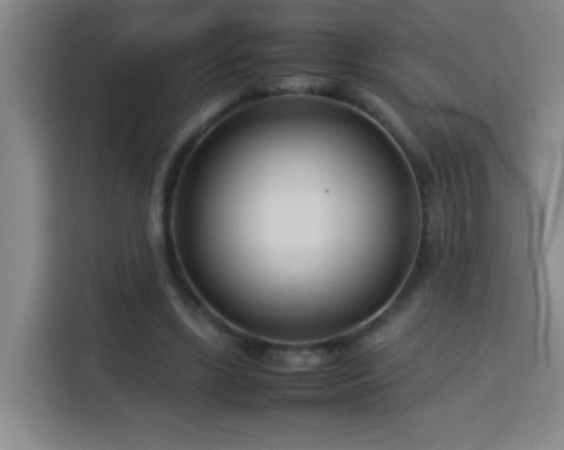 X0000113750443200909301035