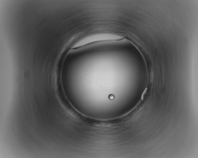 X0000113750444200909301035