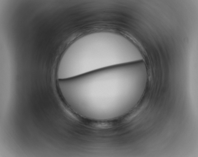 X0000113750445200909301035