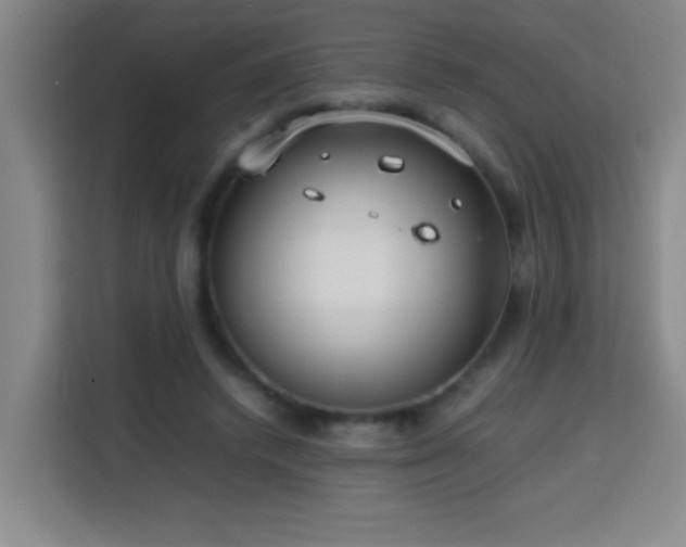 X0000113750448200909301035