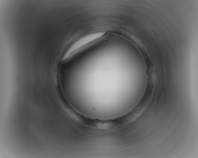 X0000113750450200909301035