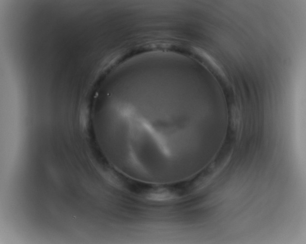 X0000113750451200909301035