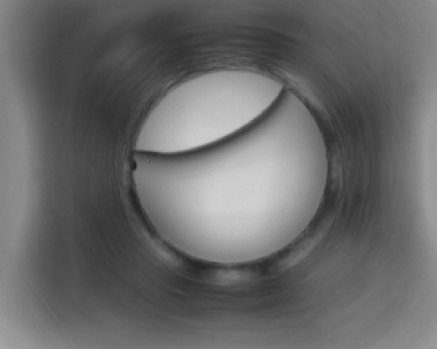 X0000113750453200909301035