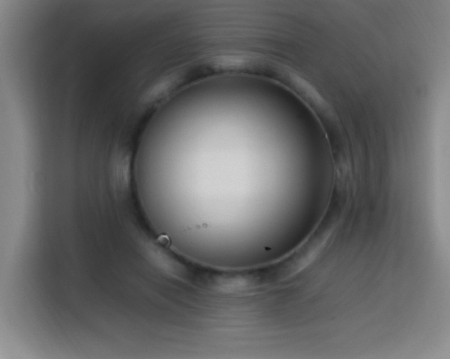 X0000113750454200909301035