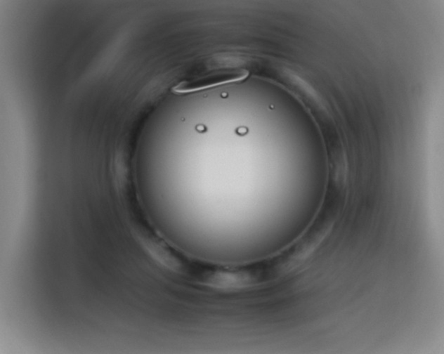 X0000113750455200909301035