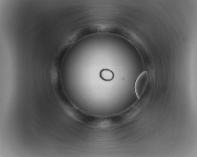 X0000113750456200909301035