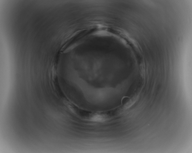 X0000113750471200909301035