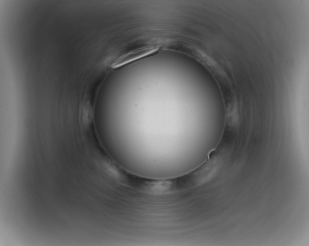 X0000113750474200909301035