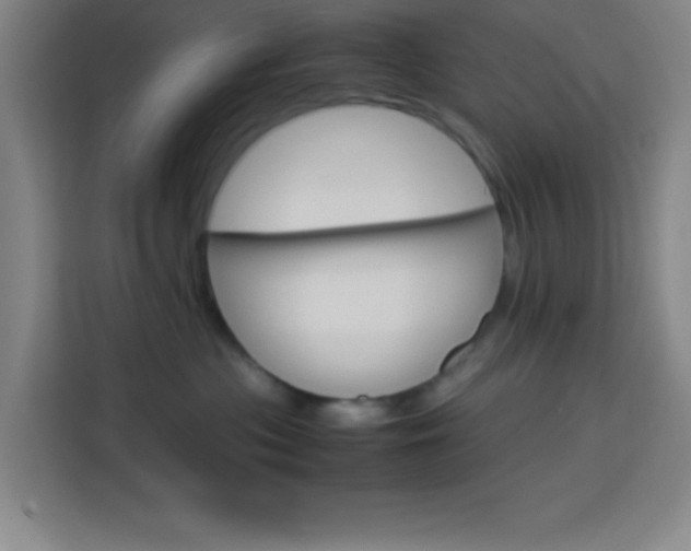 X0000113750477200909301035