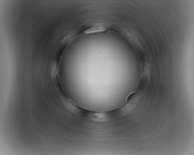 X0000113750478200909301035