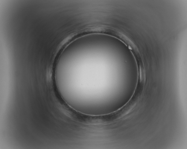 X0000113750483200909301035