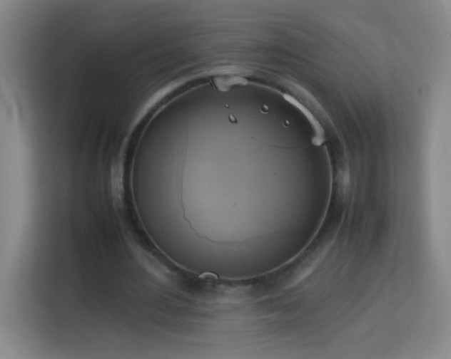 X0000113750484200909301035