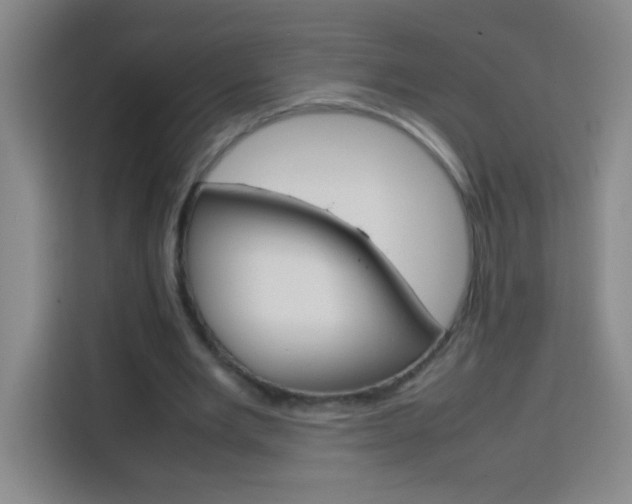 X0000113750485200909301035