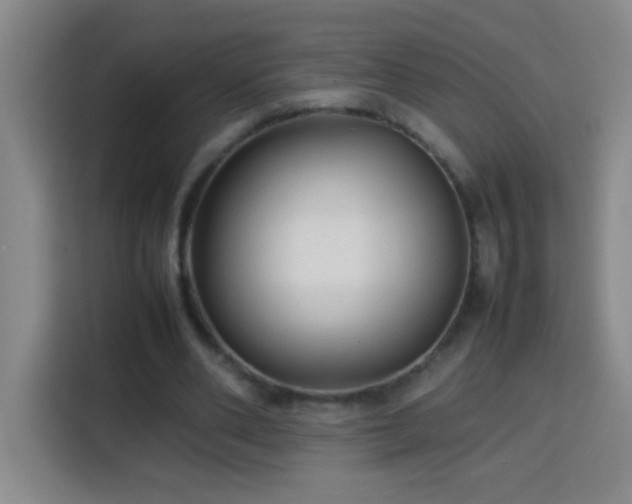 X0000113750486200909301035