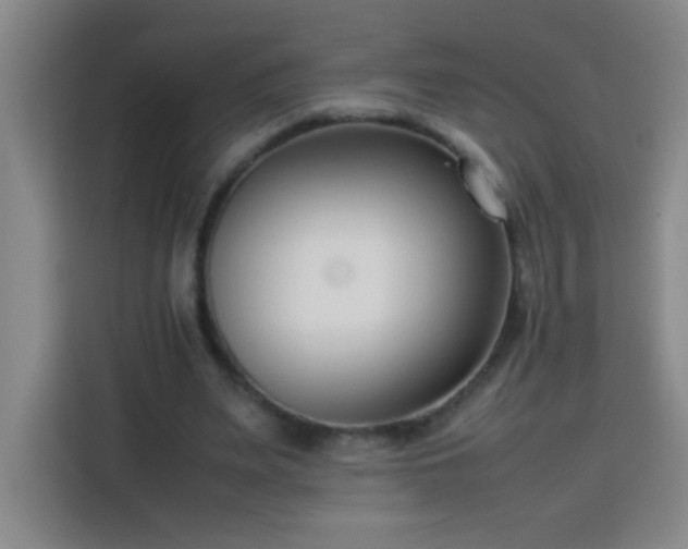 X0000113750487200909301035