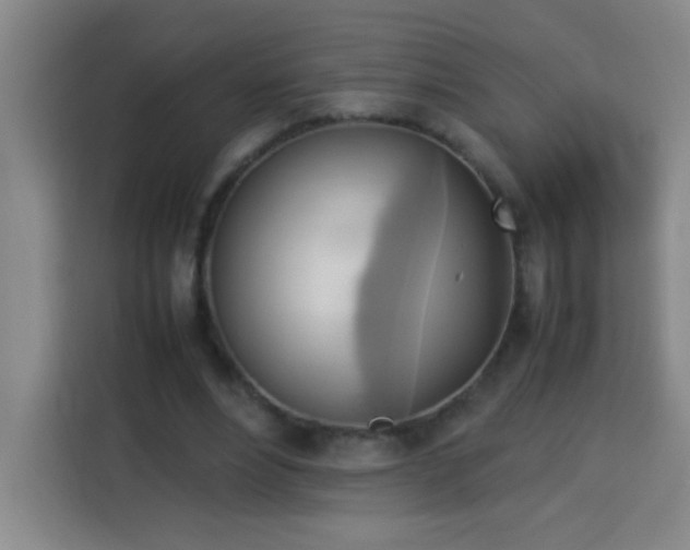 X0000113750488200909301035