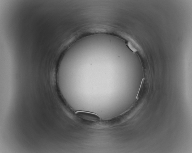 X0000113750489200909301035