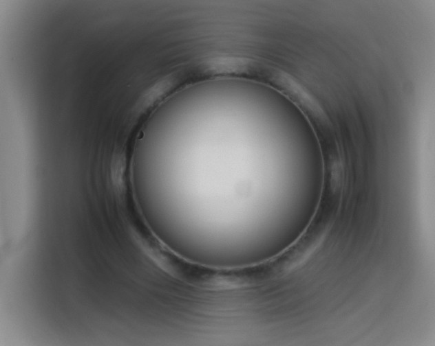 X0000113750490200909301034