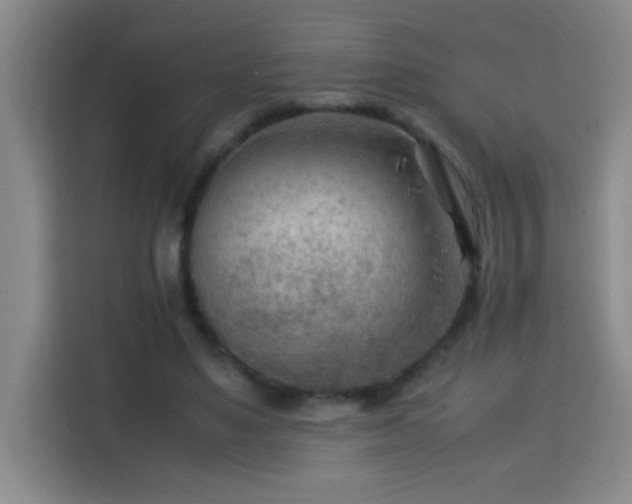 X0000113750491200909301034