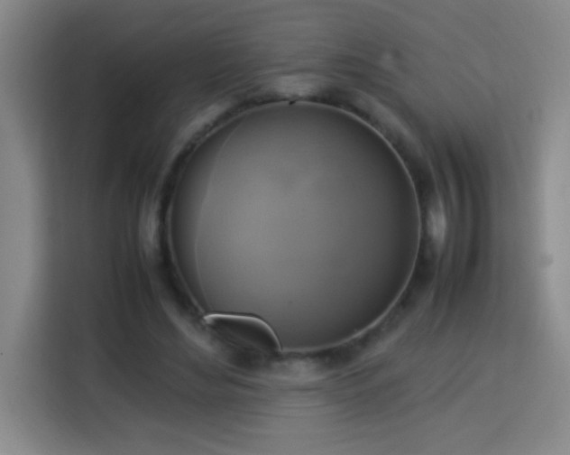 X0000113750492200909301034