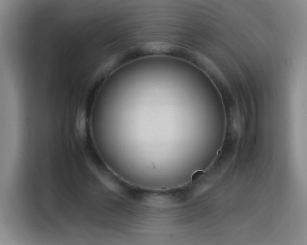 X0000113750494200909301034