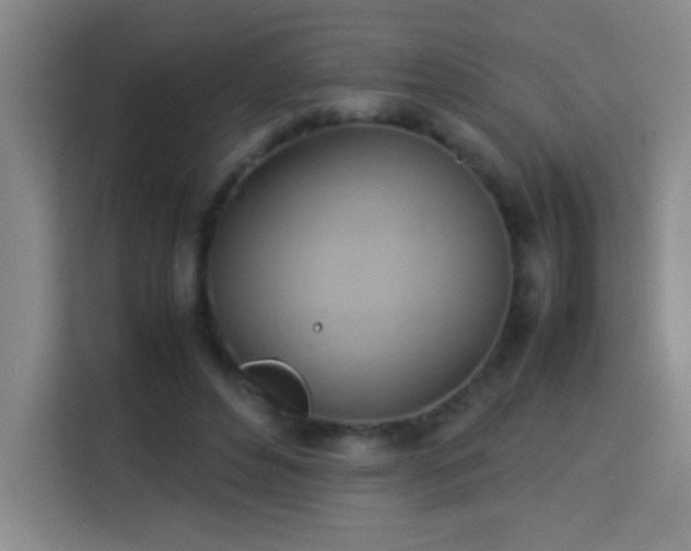 X0000113750496200909301034