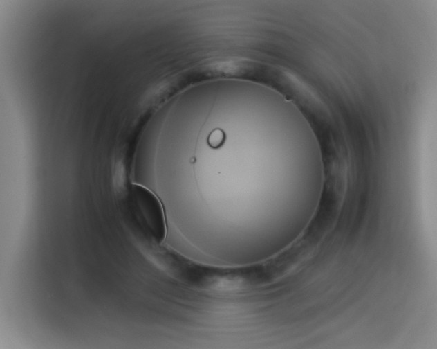 X0000113750500200909301034