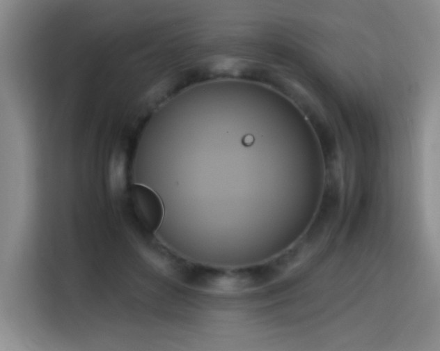 X0000113750504200909301034