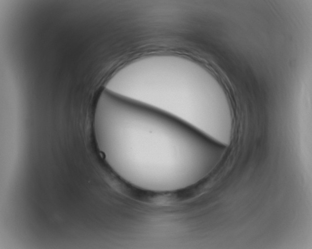 X0000113750505200909301034