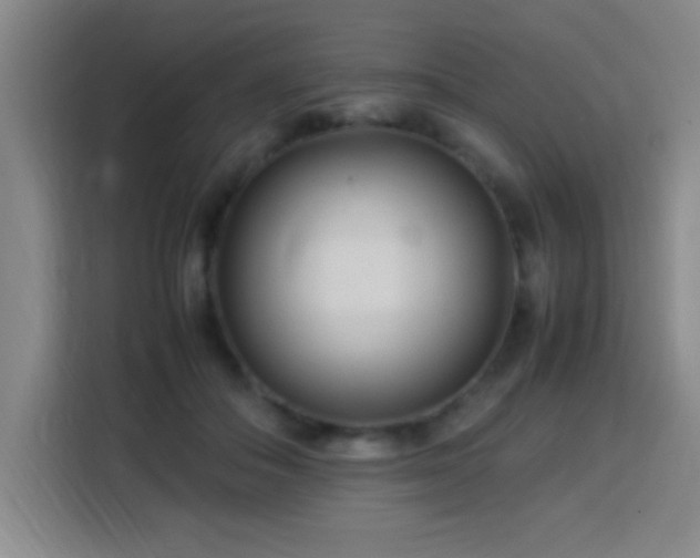 X0000113750506200909301034