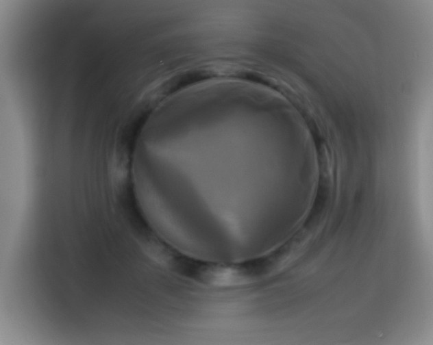 X0000113750507200909301034