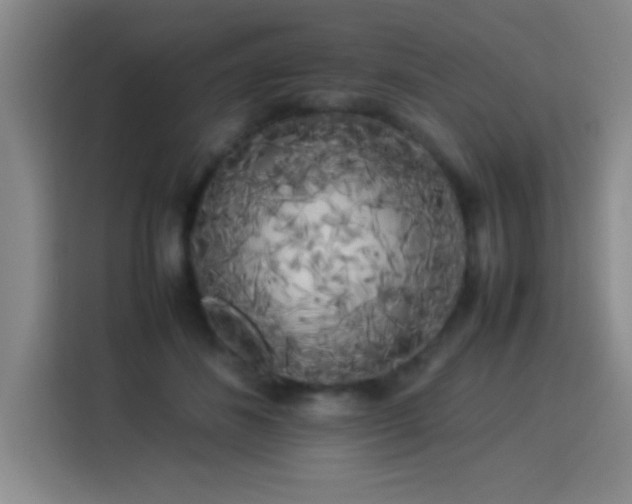 X0000113750508200909301034
