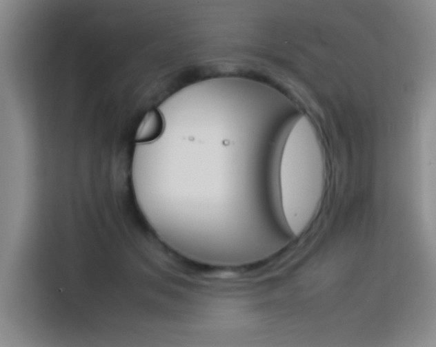 X0000113750509200909301034