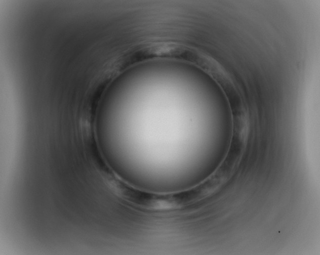 X0000113750510200909301034