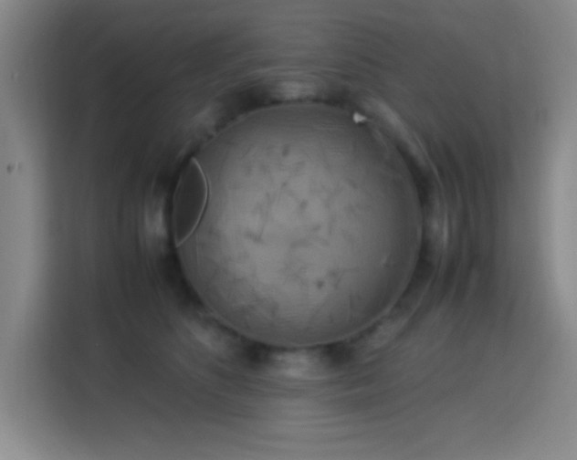 X0000113750516200909301034