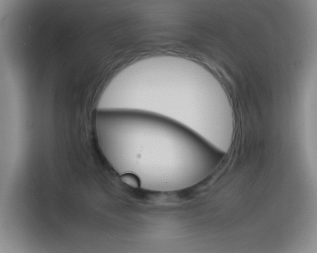 X0000113750517200909301034