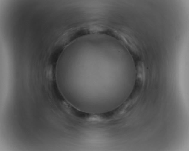 X0000113750519200909301034