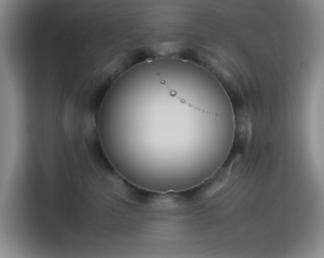 X0000113750523200909301034