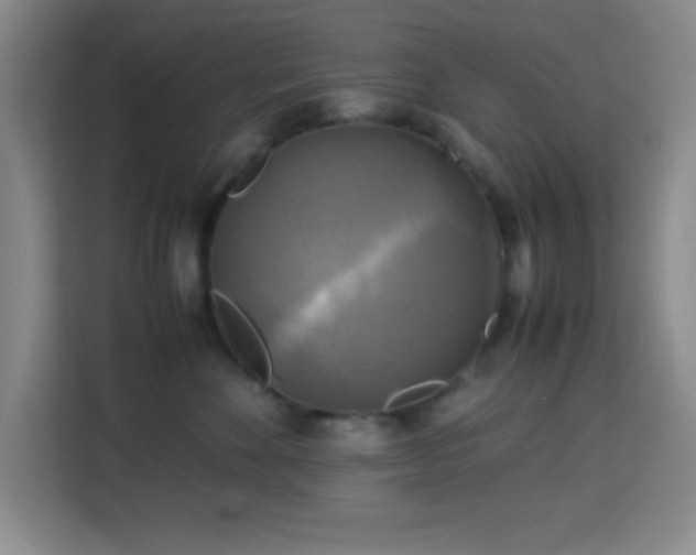 X0000113750524200909301034