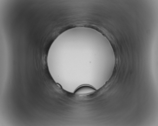 X0000113750525200909301034