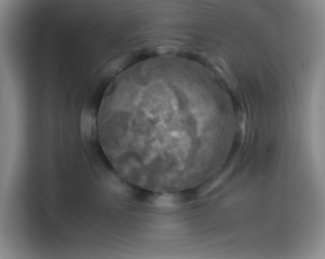 X0000113750527200909301034